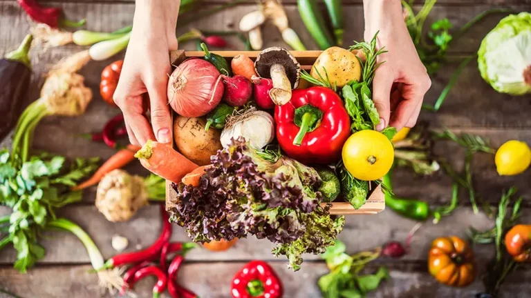 Gemüse und Obst als unverzichtbarer Bestandteil der Mahlzeiten im Vanlife