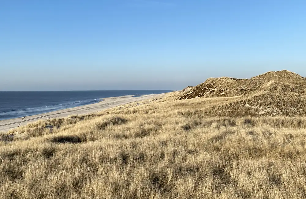 Nordsee Schleswig-Holstein: Neuer Ansatz im Tourismus