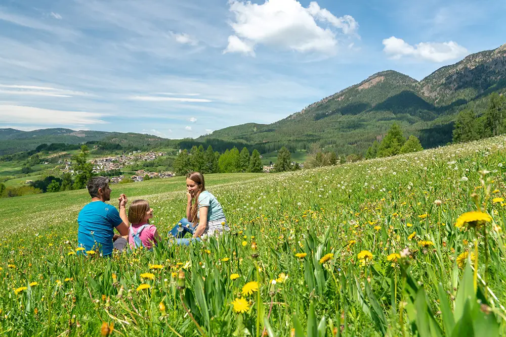 Wo die schönsten Blumen blühen – Die TOP 4 Frühlings-Bergwiesen im Trentino