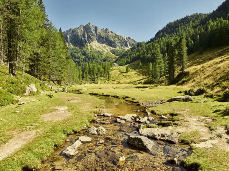 Quietcation im Trentino