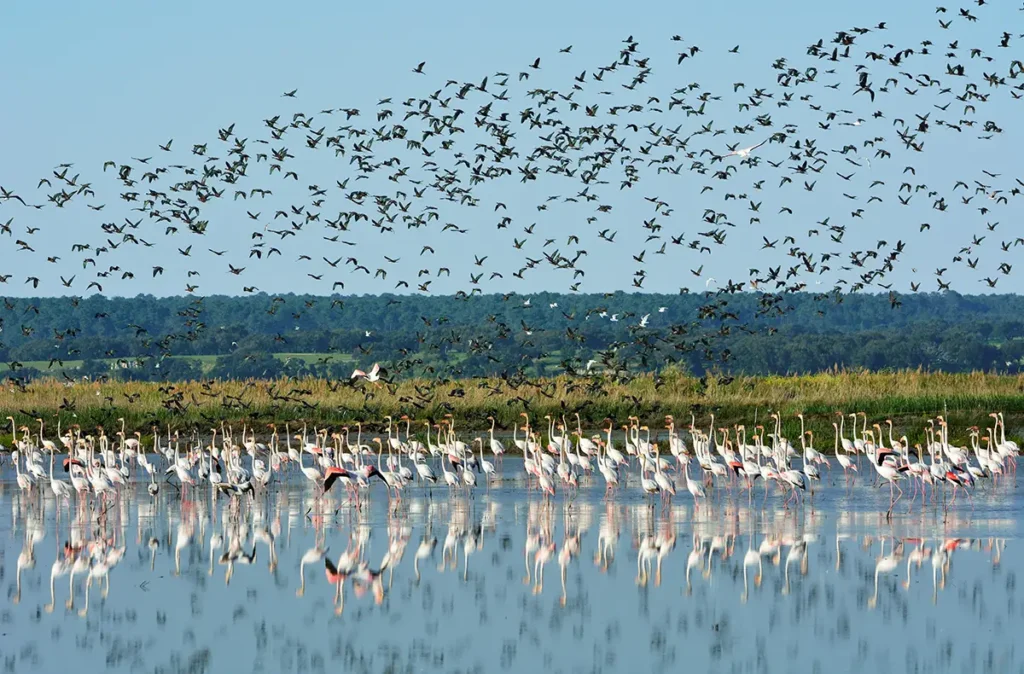 Lissabon im Herbst erleben