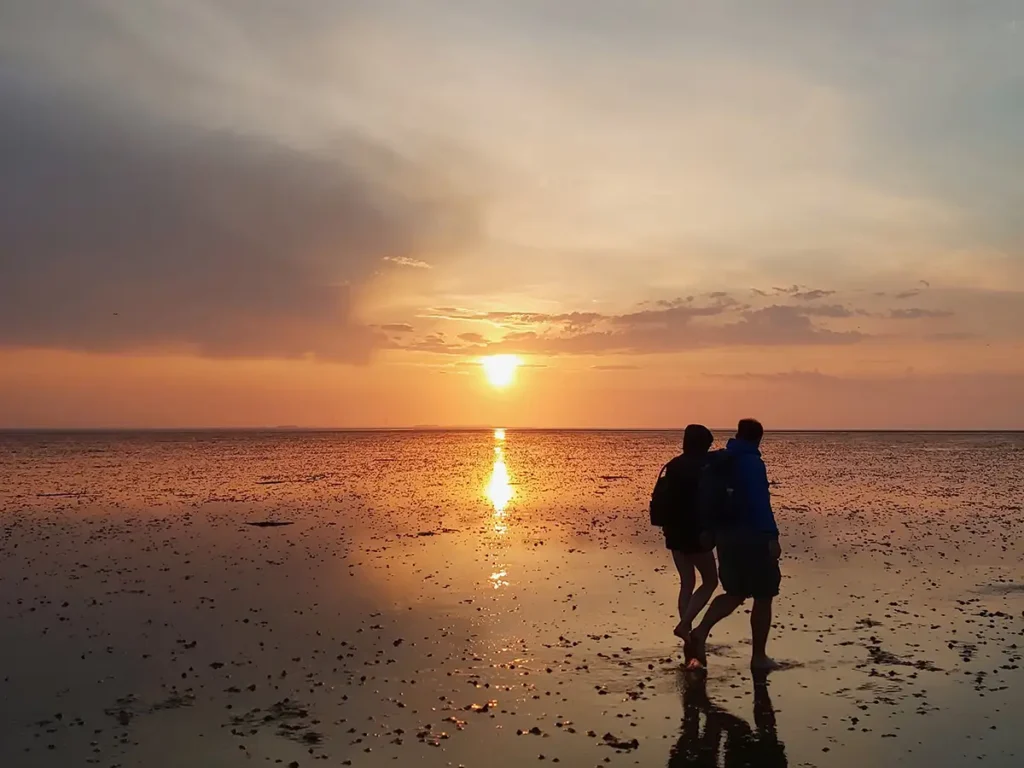 Naturerlebnis Wattenmeer