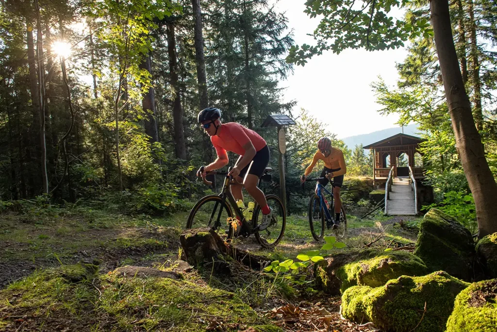 Gravelbiken boomt: Warum Thüringen von einem der größten Fahrradtrends profitiert