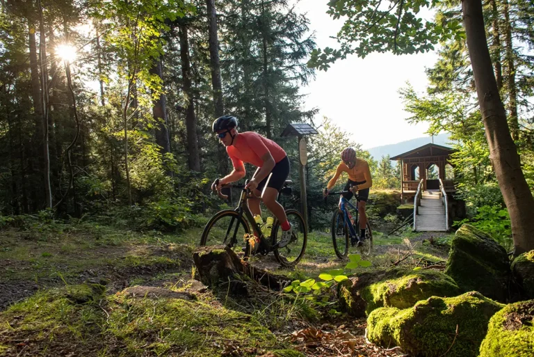 Gravelbiken boomt: Warum Thüringen von einem der größten Fahrradtrends profitiert
