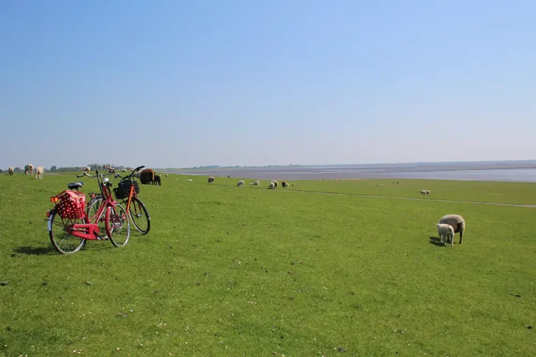 Ein Paradies für Radfahrer – der Nordseeküsten-Radweg
