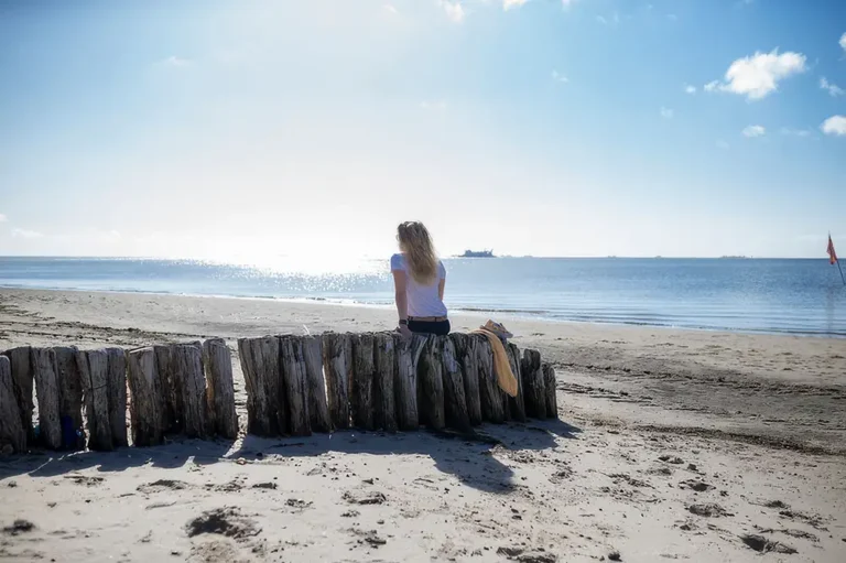 Sommerbilanz an der Nordsee Schleswig-Holstein