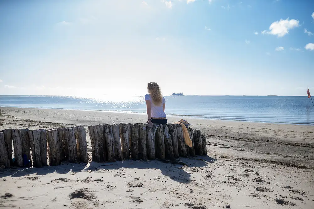 Sommerbilanz an der Nordsee Schleswig-Holstein